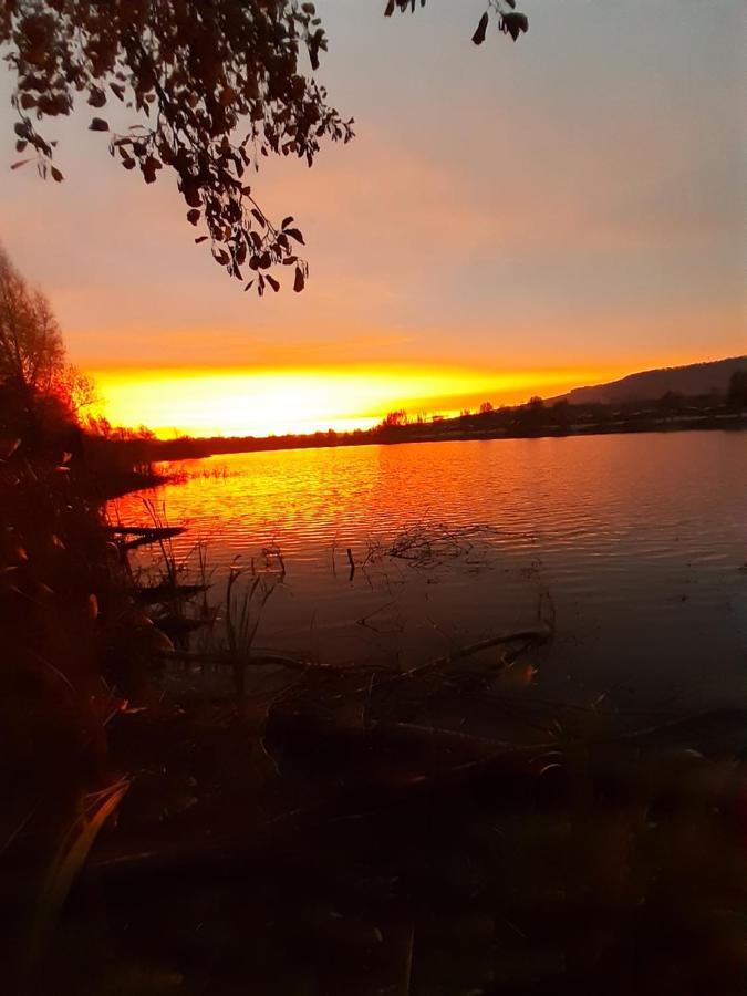 Ferienhaus Am Weserberglandsee Lauenforde Eksteriør billede